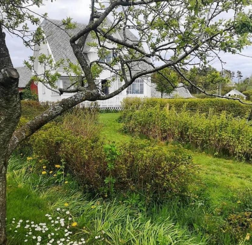 Shared Farmhouse Stavanger Buitenkant foto